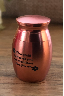 Miniature Pet Cremation Keepsake With Meaningful Quote